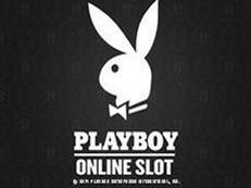 Playboy gokkast