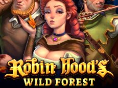 Robin Hood Wild Forest gokkast