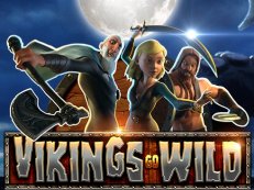 Vikings go Wild gokkast